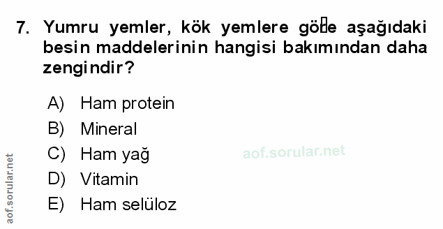 Soru 7