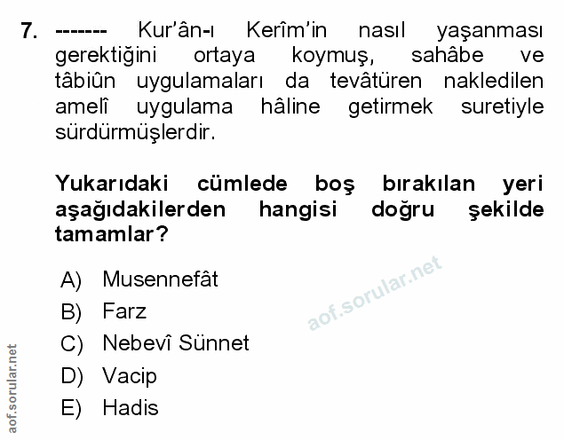 Soru 7