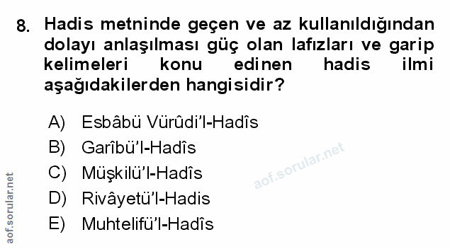 Soru 8