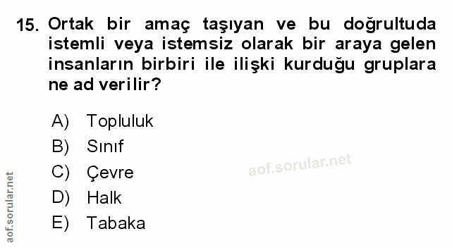 Soru 15