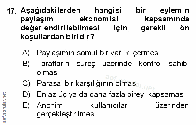 Soru 17