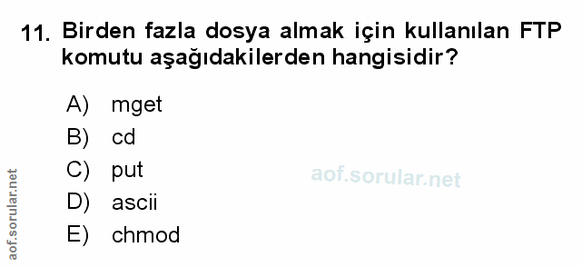 Soru 11