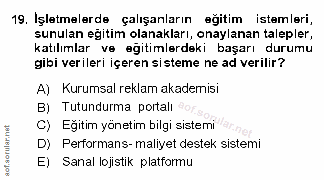 Soru 19