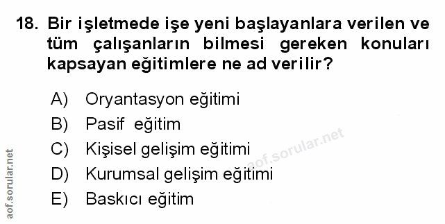 Soru 18