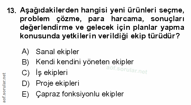 Soru 13