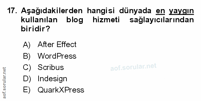 Soru 17