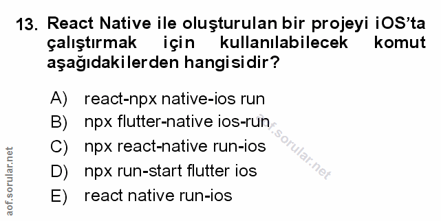 Soru 13