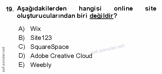 Soru 19