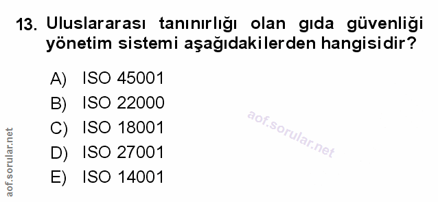 Soru 13