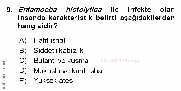 Soru 9