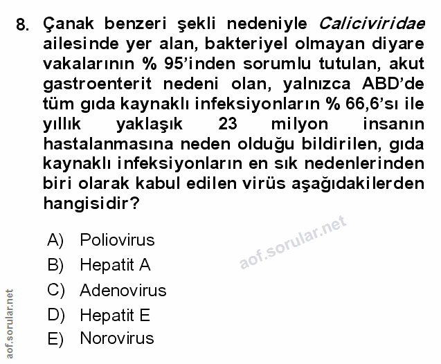 Soru 8