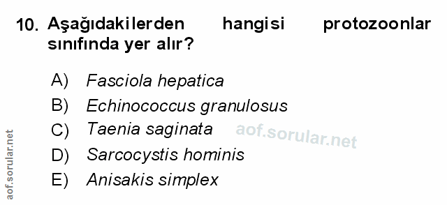 Soru 10