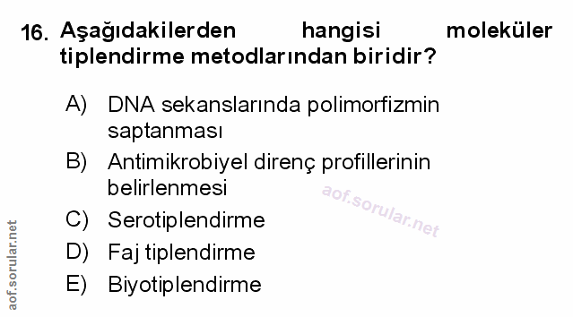 Soru 16