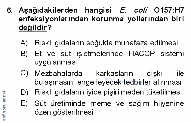Soru 6