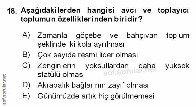 Soru 18