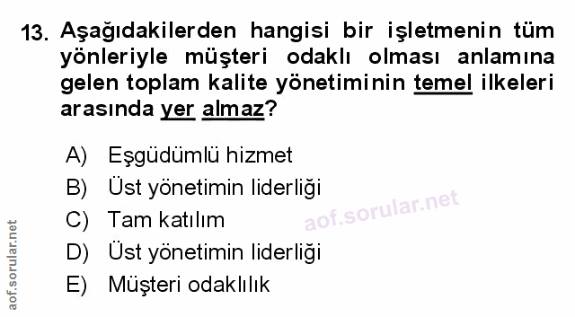 Soru 13