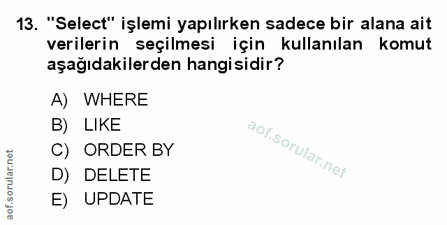 Soru 13
