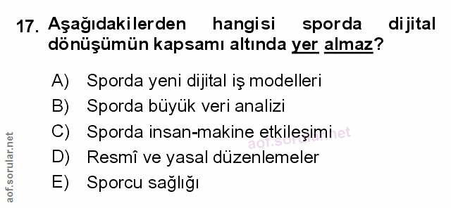 Soru 17
