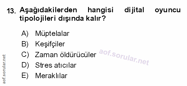 Soru 13
