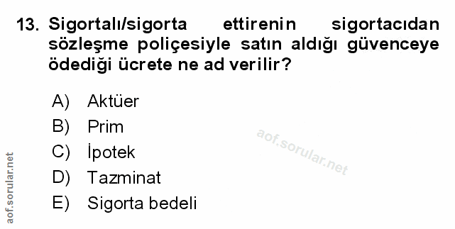 Soru 13