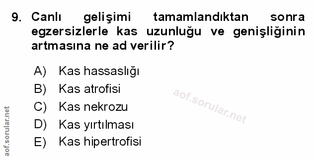 Soru 9