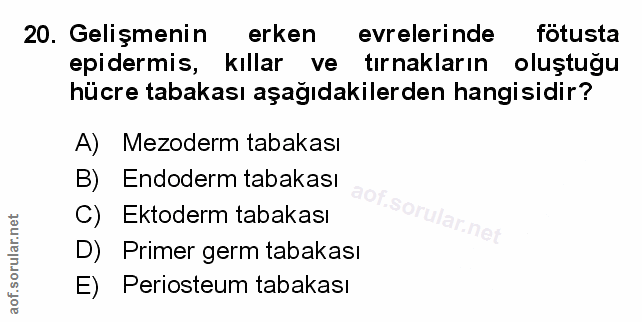 Soru 20