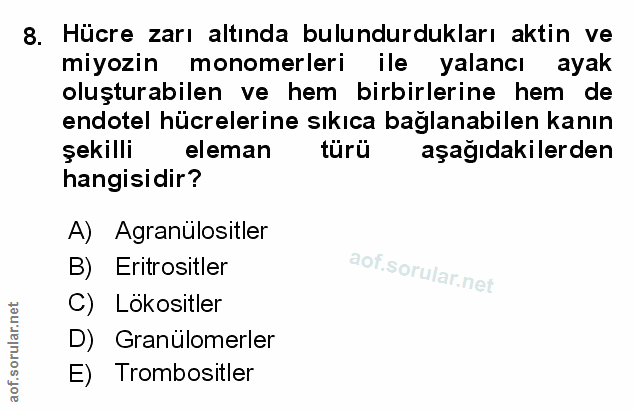 Soru 8