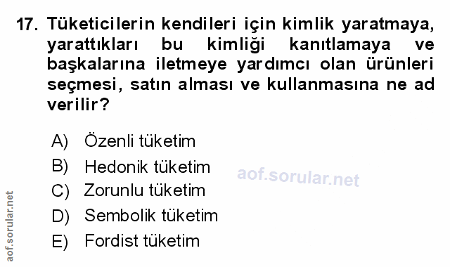 Soru 17