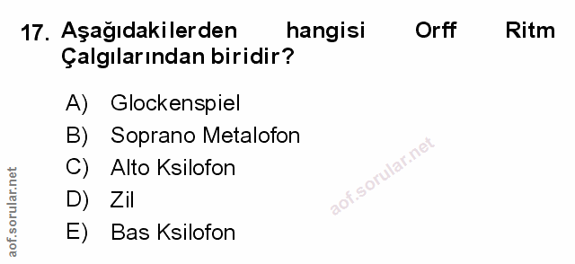 Soru 17