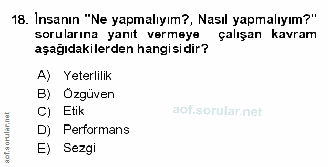 Soru 18
