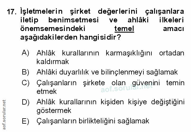 Soru 17