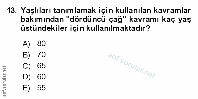 Soru 13