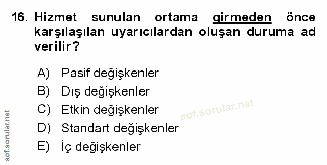 Soru 16