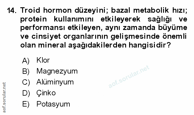 Soru 14