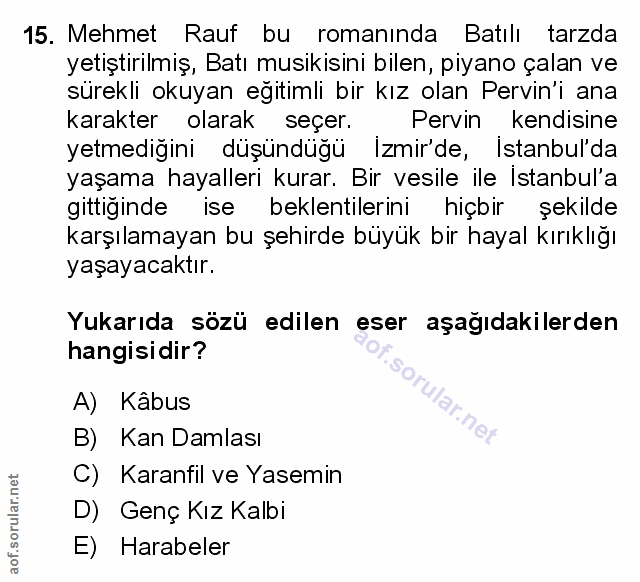Soru 15