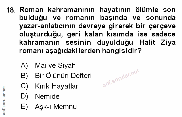 Soru 18