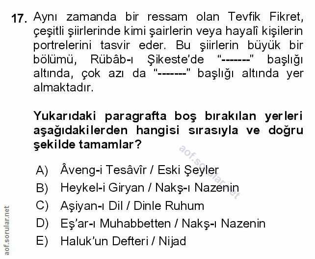Soru 17