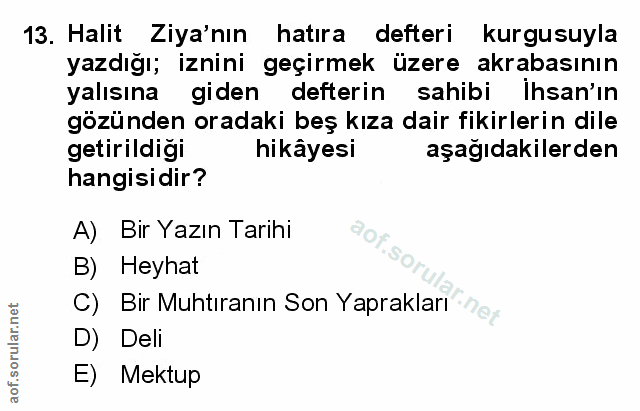 Soru 13