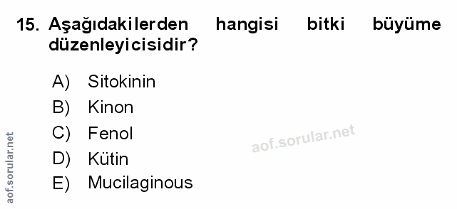 Soru 15