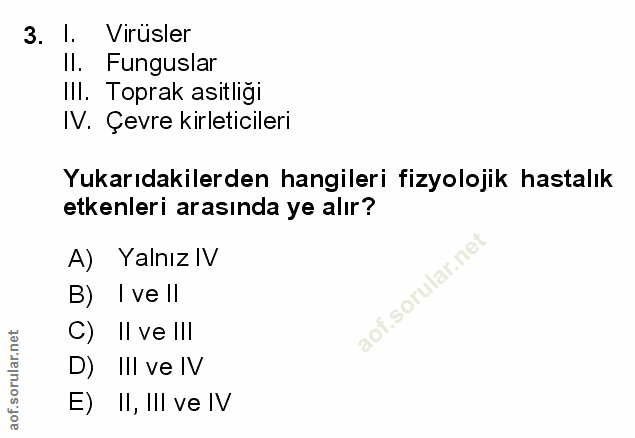 Soru 3