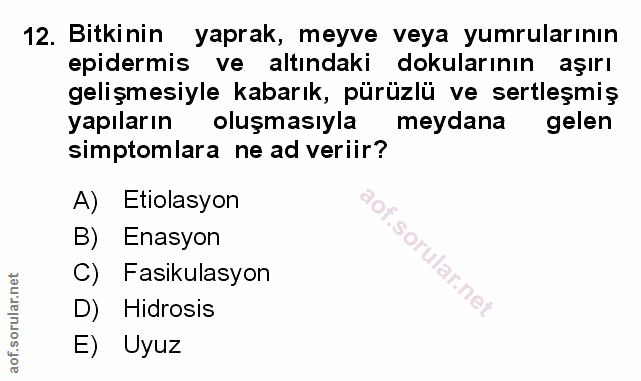 Soru 12