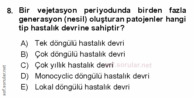 Soru 8