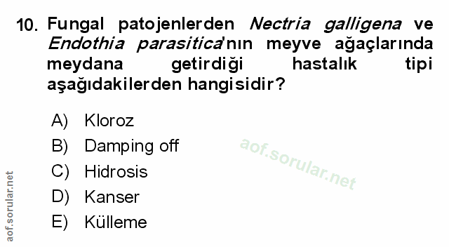 Soru 10
