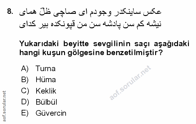 Soru 8