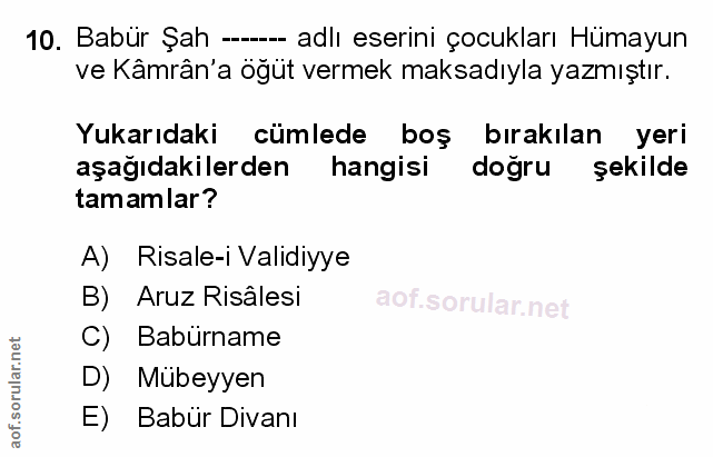 Soru 10