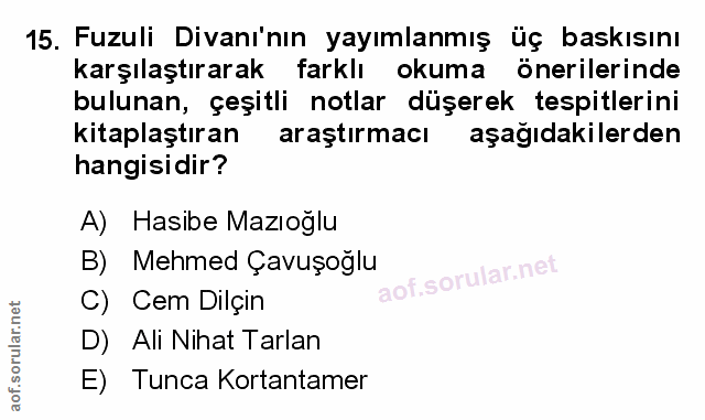 Soru 15