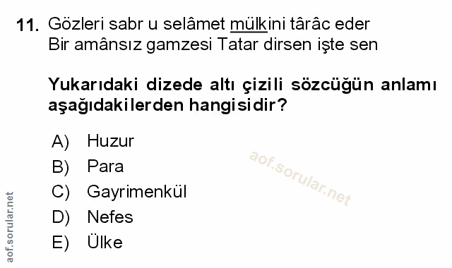 Soru 11