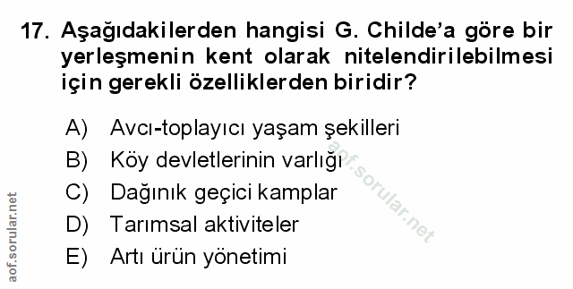 Soru 17
