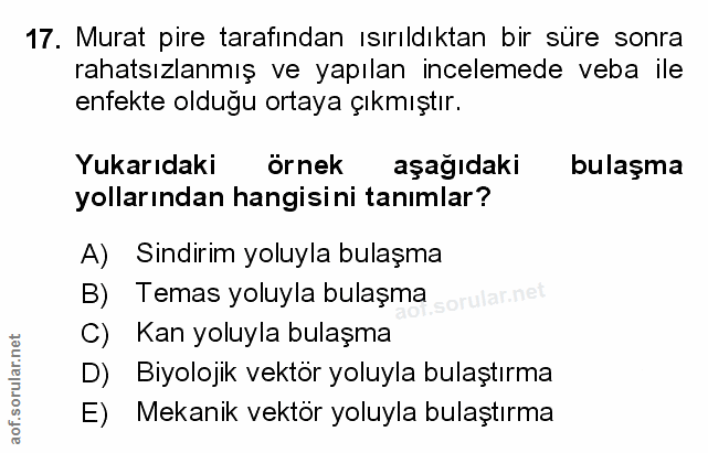 Soru 17