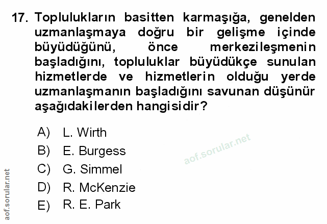 Soru 17